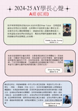 A Red team - Peer Tutor sharing R