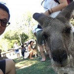 Aussie trip澳洲之旅